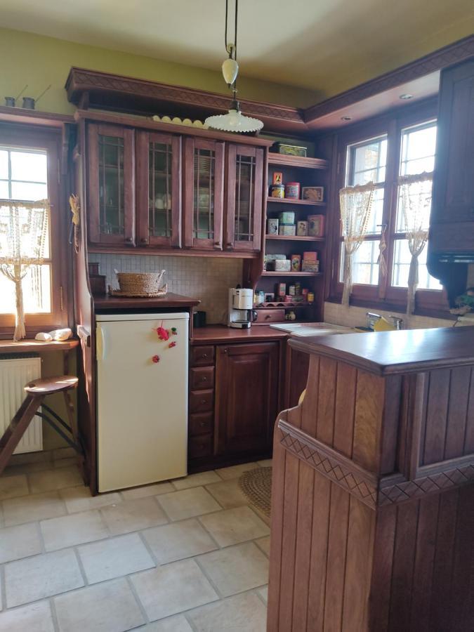 Vila Cozy Blue Stone House With A Great Sea View. Tsagarada Exteriér fotografie
